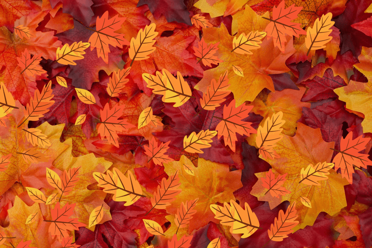 A scattering of orange, red, and yellow leaves. 