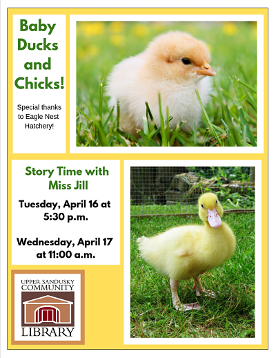 Story time with baby ducks and chicks information
