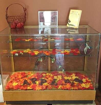 a small glass exhibit case with two shelves.