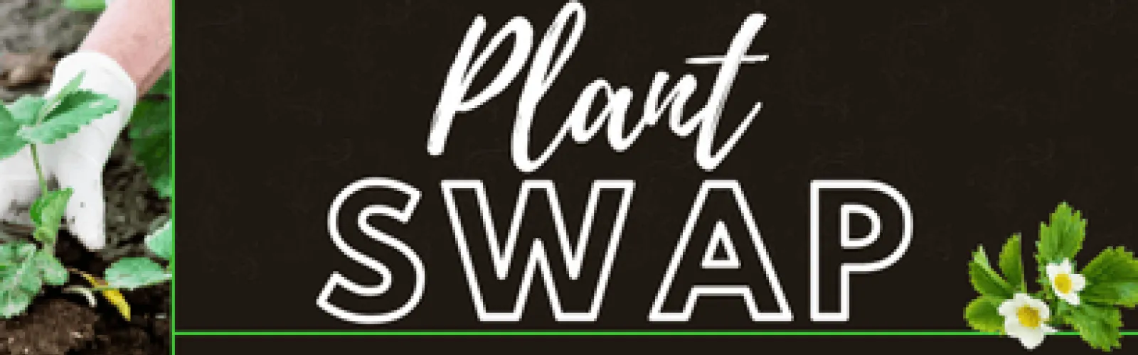 Gloved hands working with a plant in dirt. Text says Plant Swap.