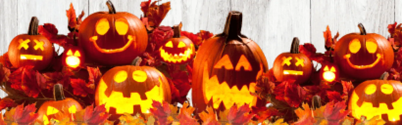 A bunch of lit up jack-o-lanterns. 