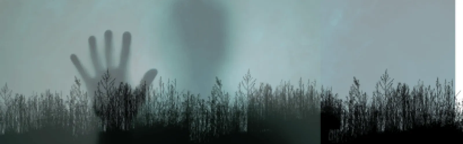A ghostly image with their hand pressed to the screen with misty woods in the background.