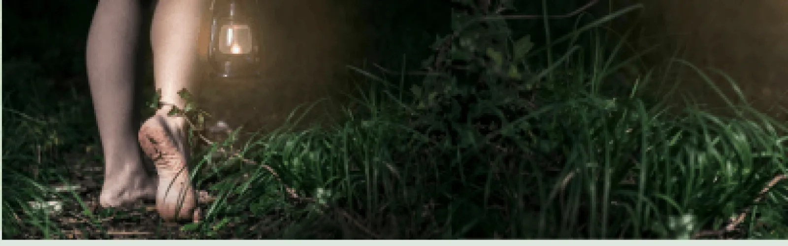 Bare feet and legs walking through the woods. 